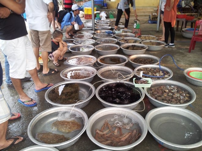  Chợ hải sản tươi sống ngon nhất ở Hội An